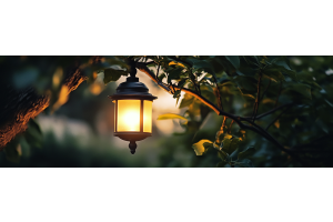 L'étoile de Noël : symbole et tradition festive