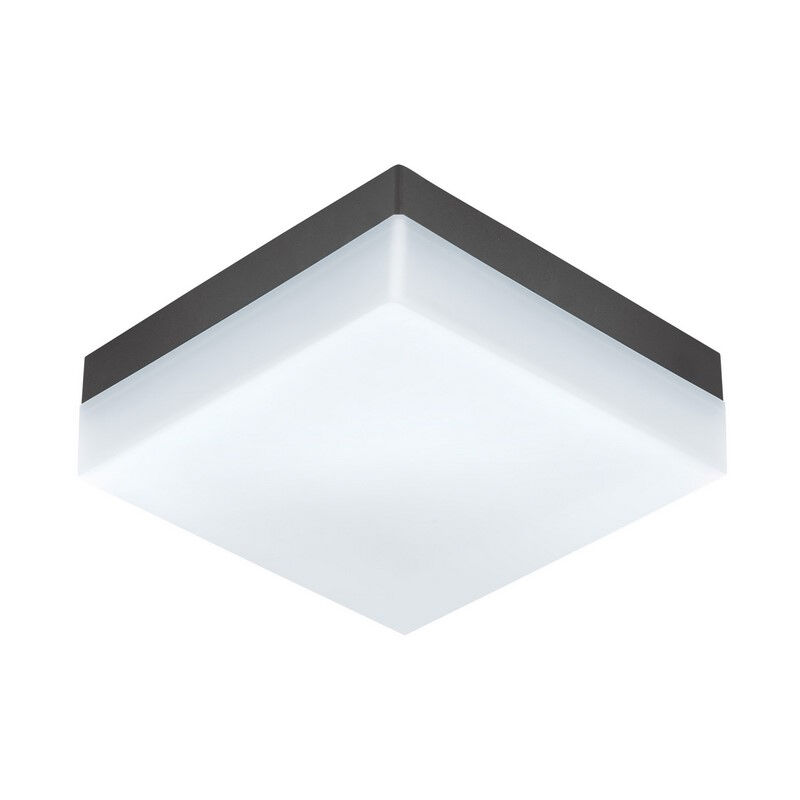 Luminaire extérieur anthracite en plastique, Allon, IP44