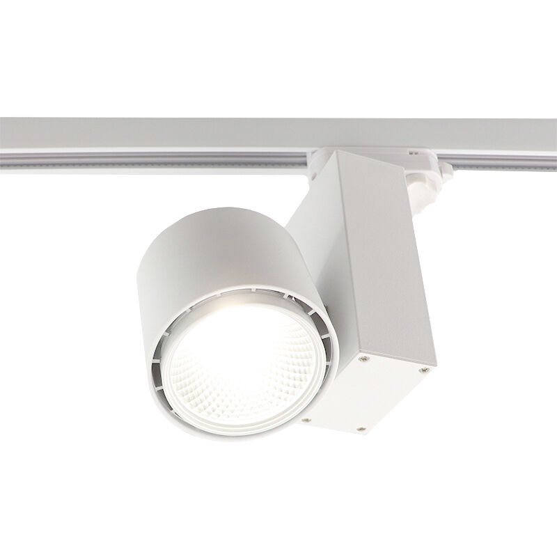 Blanc Bisolux Master B spot sur rail, pilote Philips, 4000k, 30w, 36 degrés