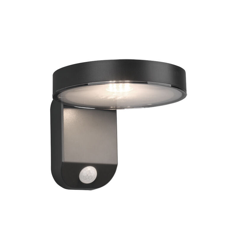 Applique extérieur avec détecteur de mouvement moderne anthracite, Sunny, 4,5W, 3000K LED, IP44