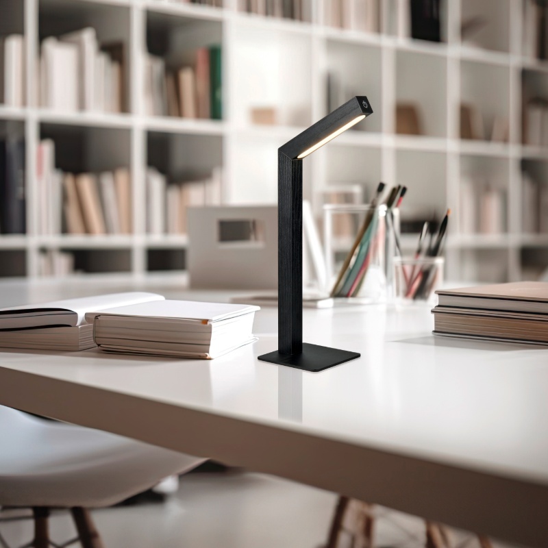 Lampe de table rechargeable moderne noire, Reijer, 2W, 3000K LED, avec variateur tactile