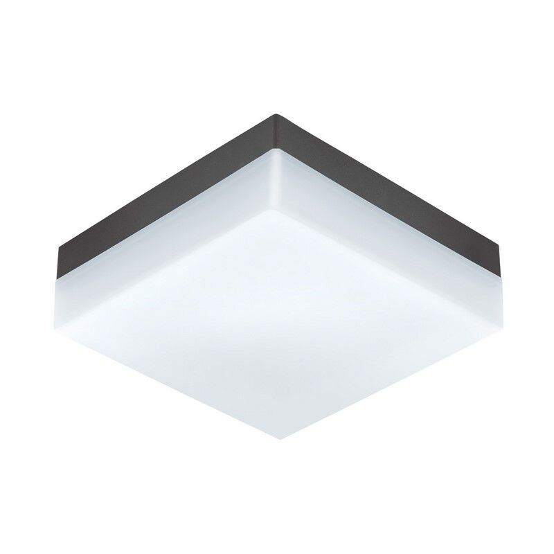 Luminaire extérieur anthracite en plastique, Allon, IP44