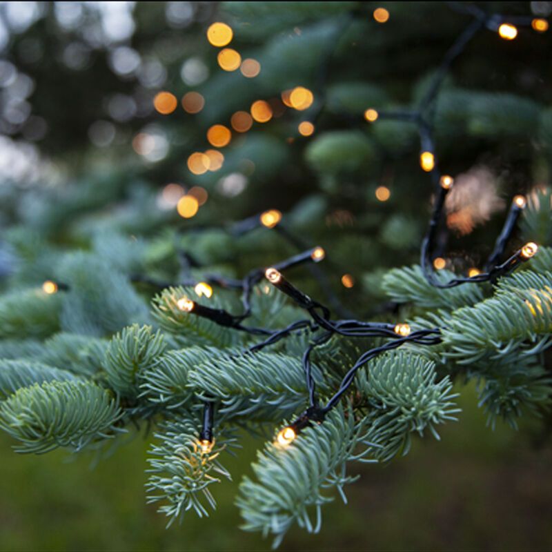 Lumières de Noël LED 1,8 m sur batterie, 24 lampes, intérieur et extérieur