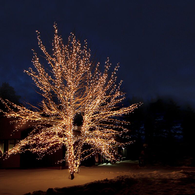 Éclairage d'arbre encastrable noir 40M, 10 leds par mètre, IP67 - Blanc chaud