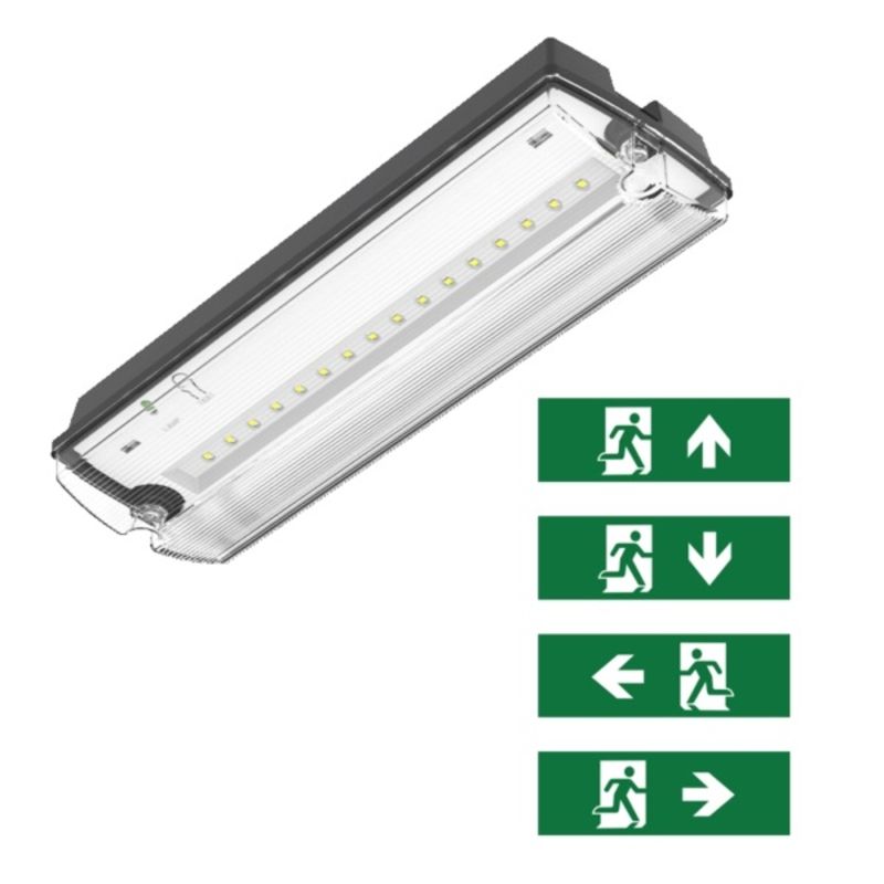Éclairage de secours noir avec pictogrammes, Pedram, 3W, LED 6500K, IP66