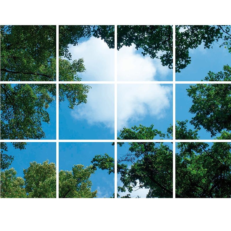 Impression photo nuage avec forêt - lot de 12 plaques acryliques avec impression, pour panneaux LED 60x60 cm