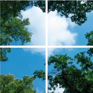 Impression photo nuage avec forêt - lot de 4 plaques acryliques avec impression, pour panneaux LED 60x60 cm