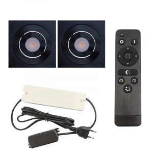 2 spots veranda orientable Rona carré, IP44, avec kit de connexion et télécommande, noir