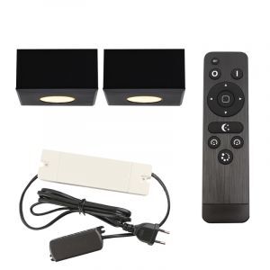 2 spots en saillie veranda carrés noirs Fredo, IP44, avec kit de connexion et télécommande