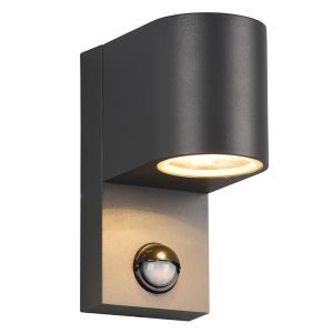 Applique extérieur avec détecteur de mouvement moderne anthracite, Laurien, IP44