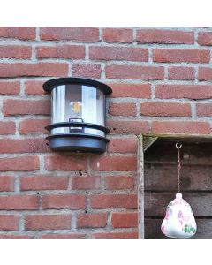 Luminaire extérieur transparente rustique, Zare, IP44