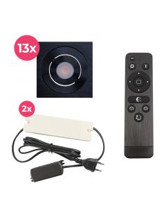 13 spots veranda orientable Rona carré, IP44, avec kit de connexion et télécommande, noir
