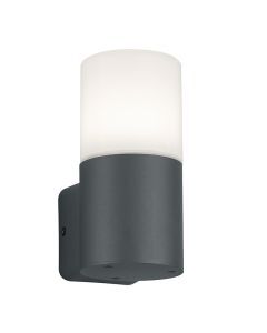 Luminaire extérieur moderne anthracite, Fjelso, IP44