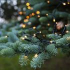 Lumières de Noël LED 1,8 m sur batterie, 24 lampes, intérieur et extérieur