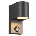 Applique extérieur avec détecteur de mouvement moderne anthracite, Laurien, IP44