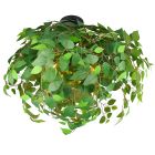 Lampe plafond design verte, Urwa