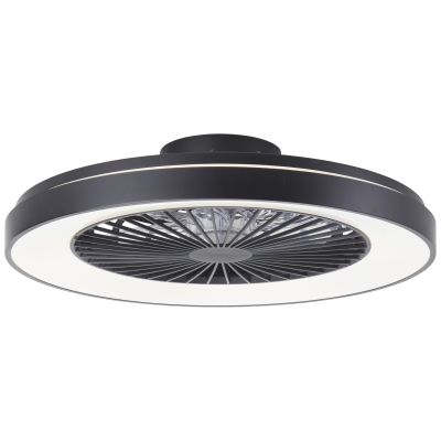 Ventilateur de plafond noir moderne, Palmero, 40W, RGBW LED, avec télécommande