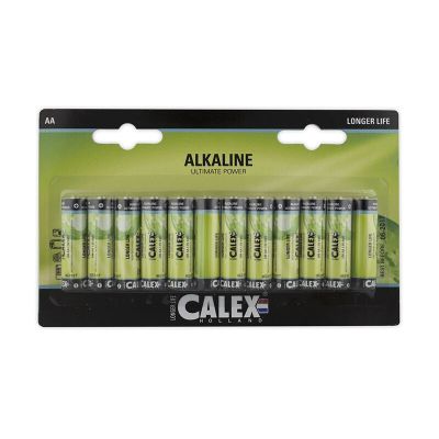 Pack de 12 piles AA (type stylo)