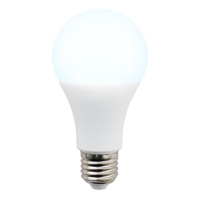 Ampoule LED Lagiba E27 Bradley, 12W, 6500K
