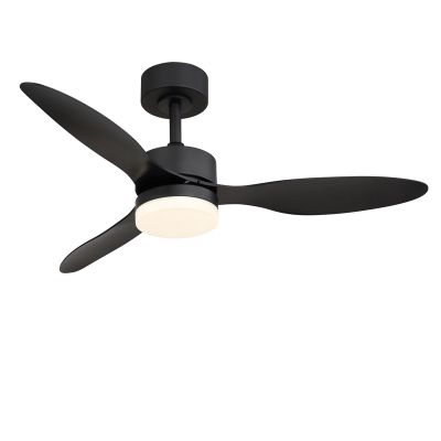 Ventilateur de plafond noir en métal, Herre, 20W, blanc chaud à froid réglable LED, avec télécommande