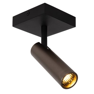 Spot plafond moderne gris, Grado