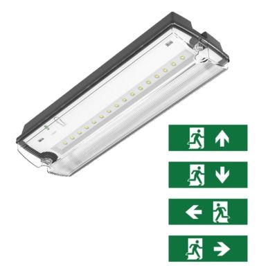 Éclairage de secours noir avec pictogrammes, Pedram, 3W, LED 6500K, IP66