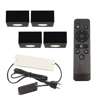 4 spots en saillie veranda carrés noirs Fredo, IP44, avec kit de connexion et télécommande