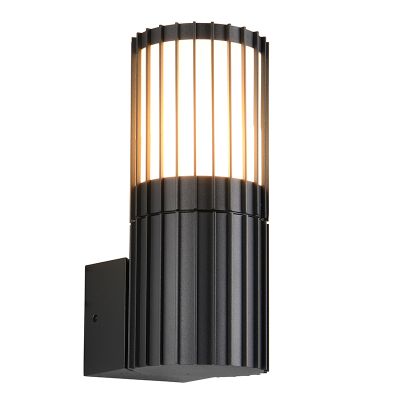 Luminaire extérieur moderne anthracite, Oumnia, IP54