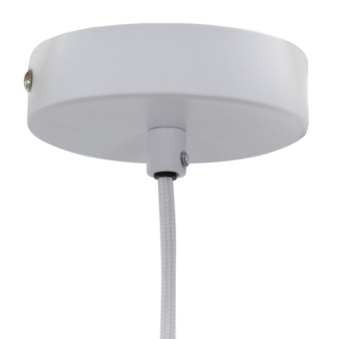 Suspension rose design, Sue