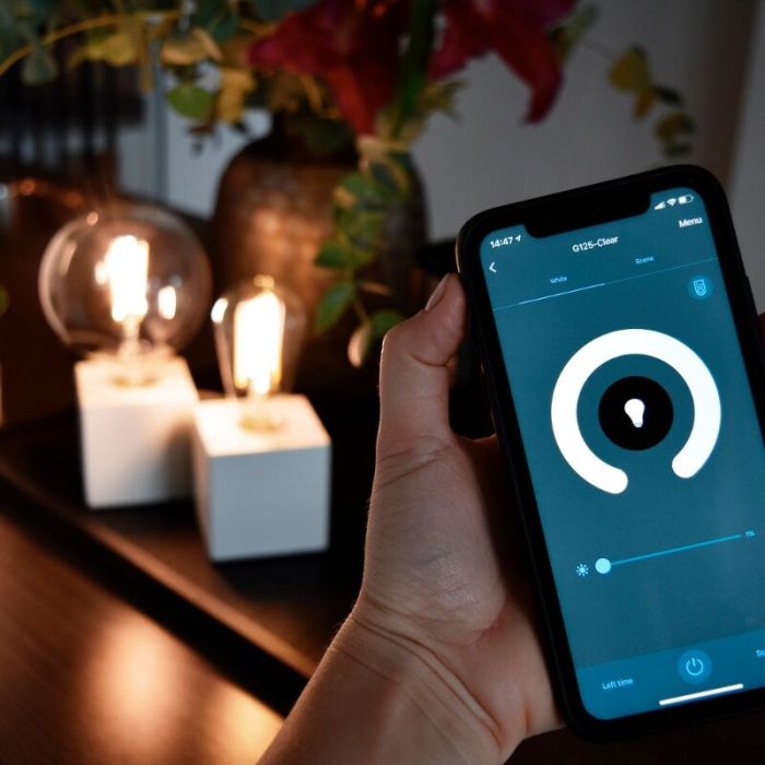 Calex ampoule LED connectée E27 gris, 7W, 1800K