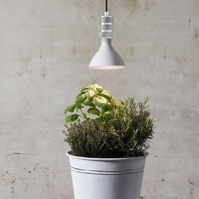 PAR LED lampe pour plante E27, 16W, 3500K