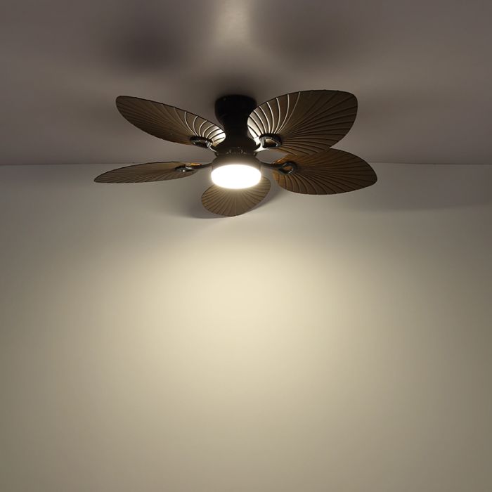 Ventilateur de plafond marron en métal, Naduah, 22W, white switch LED, avec télécommande
