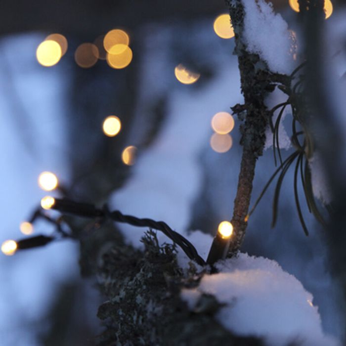 Éclairage d'arbre noir 10M, 10 leds par mètre, IP67 - Blanc chaud