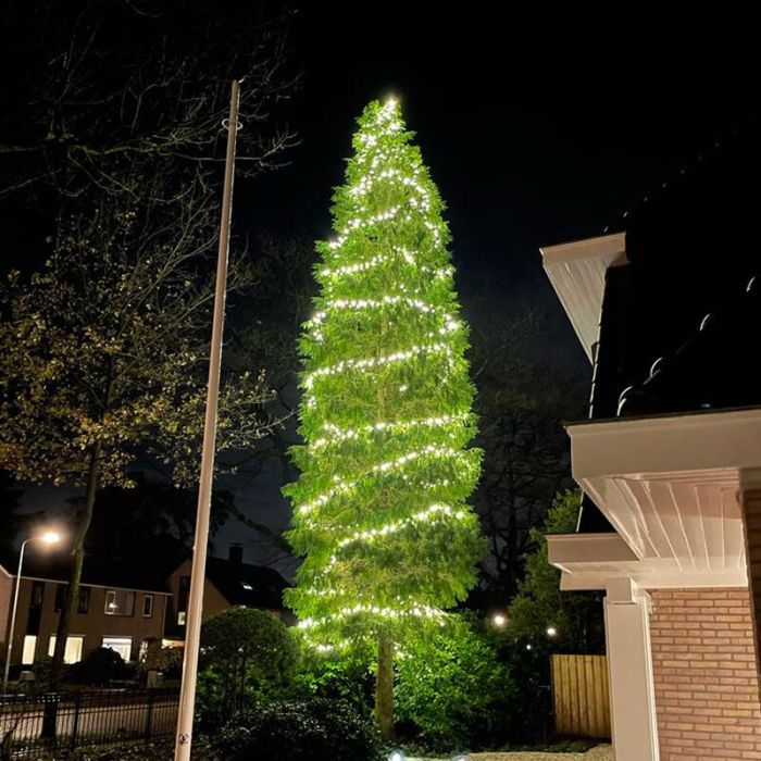Éclairage d'arbre noir 10M, 10 leds par mètre, IP67 - Blanc chaud