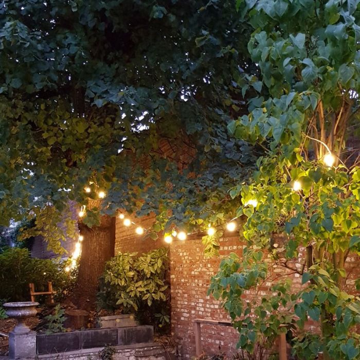 5m guirlande guinguette, 5 culots