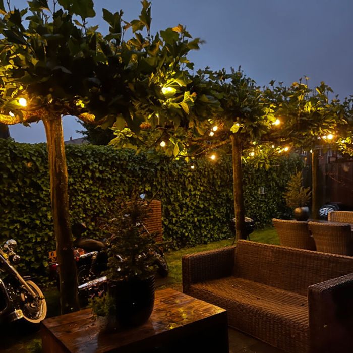 25m guirlande guinguette avec 25 dimmable ampoules transparantes