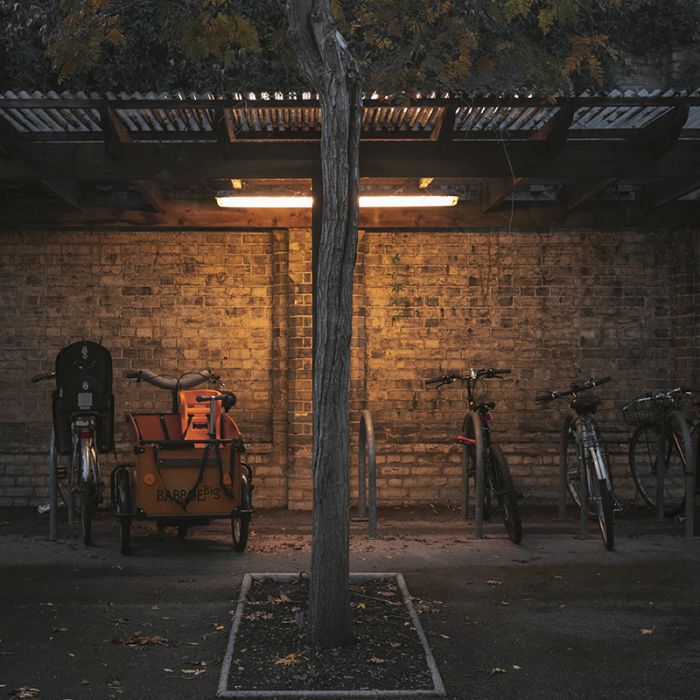 Tube LED 150 cm - Bisolux - 4000K - 22W - avec starter