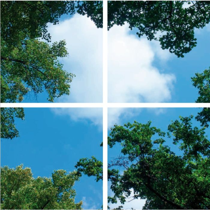 Impression photo nuage avec forêt - lot de 4 plaques acryliques avec impression, pour panneaux LED 60x60 cm