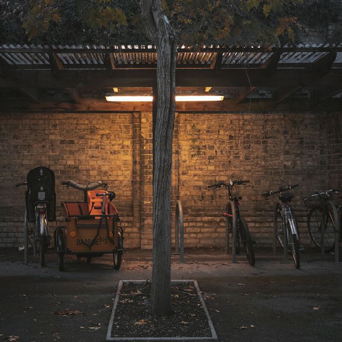 Tube LED 60 cm - Bisolux - 3000K - 9W - avec starter