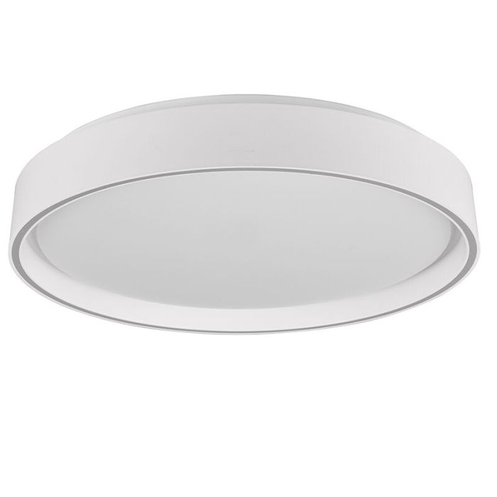 Lampe plafond en plastique blanche, Deon, 24W, blanc chaud à froid réglable LED