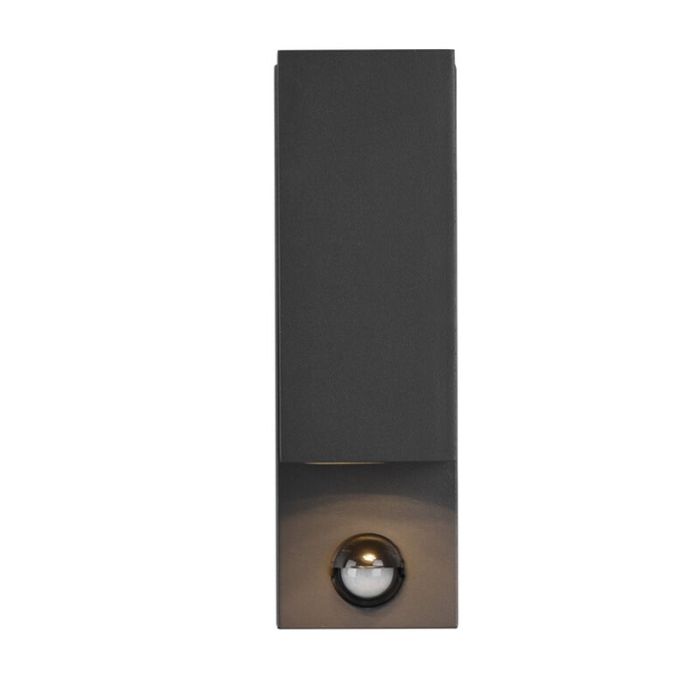 Applique extérieur avec détecteur de mouvement moderne anthracite, Laurien, IP44